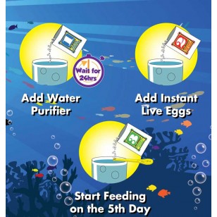 seamonkey growing kit seamonkey growing kit