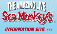 Sea Monkeys Info Site